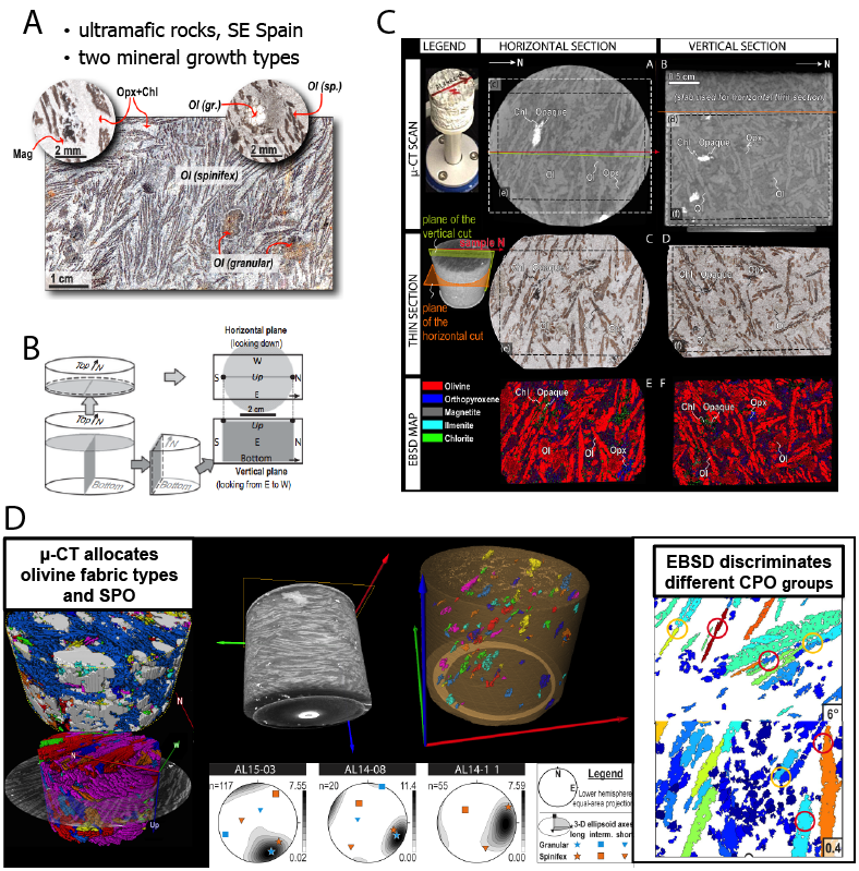Correlative μ-CT- and EBSD analyses of the 3-D microstructure of olivine