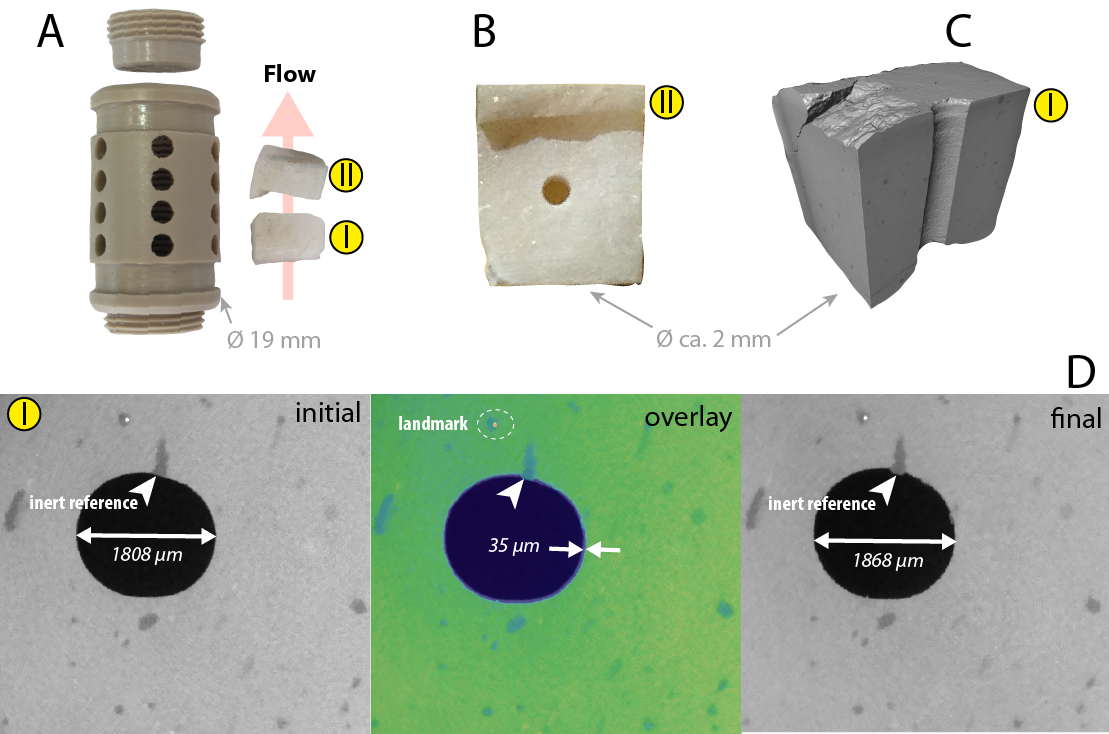 Crystal surface reactivity analysis of marble in a perforated PEEK chamber
