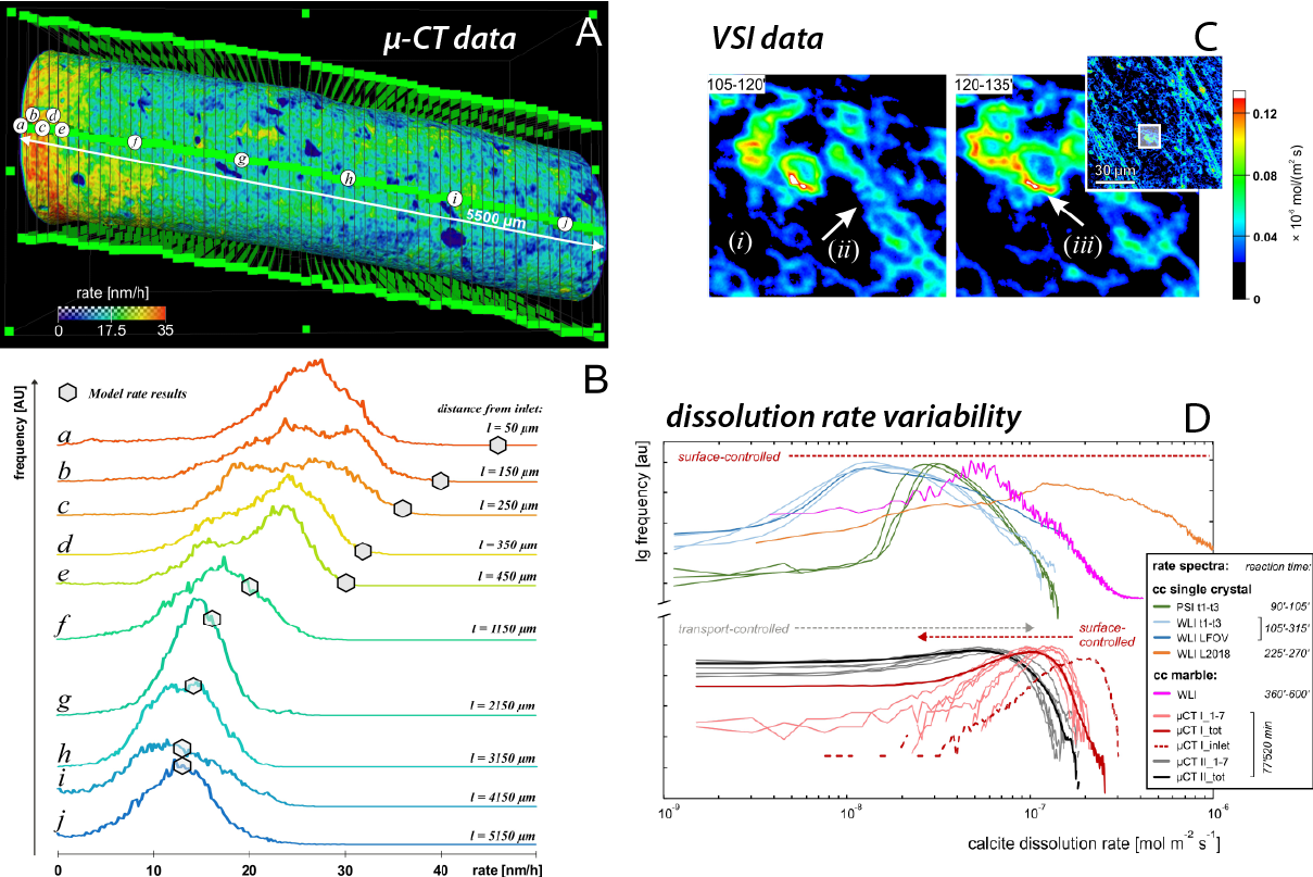 Combined approach of X-ray micro-computed tomography (µ-CT) and vertical scanning interferometry (VSI) 
to analyse crystal surface reactivity