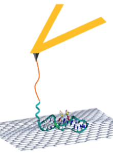 Adenosine sensing scheme