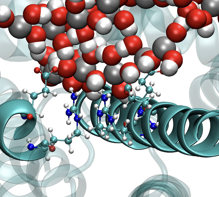 FeOx cluster on ferritin