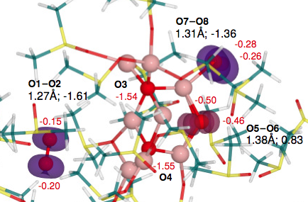 Li8O8 oxidised DMSO