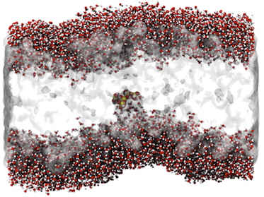 silica cluster through membrane