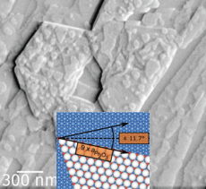 AFM image of oxide growth